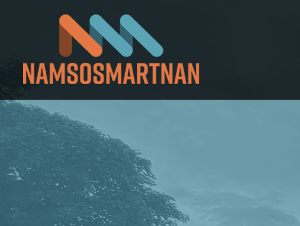 Namsos Martnan
